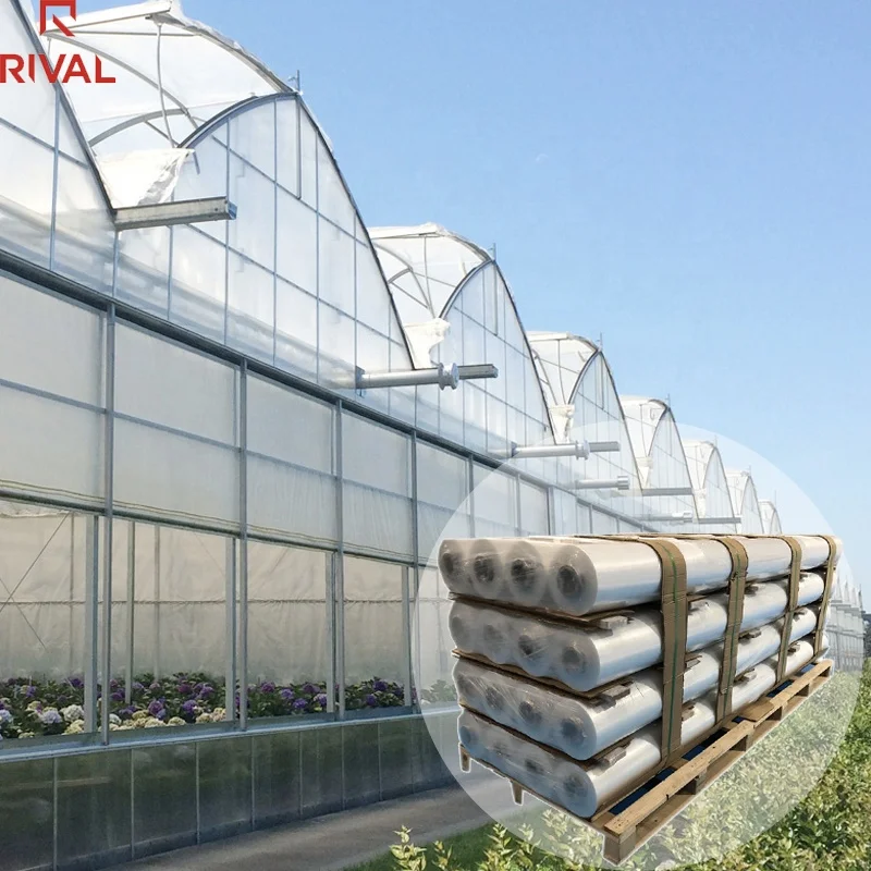 Agricultural greenhouses Commercial Clear Poly 200 micron greenhouse plastic film for greenhouse