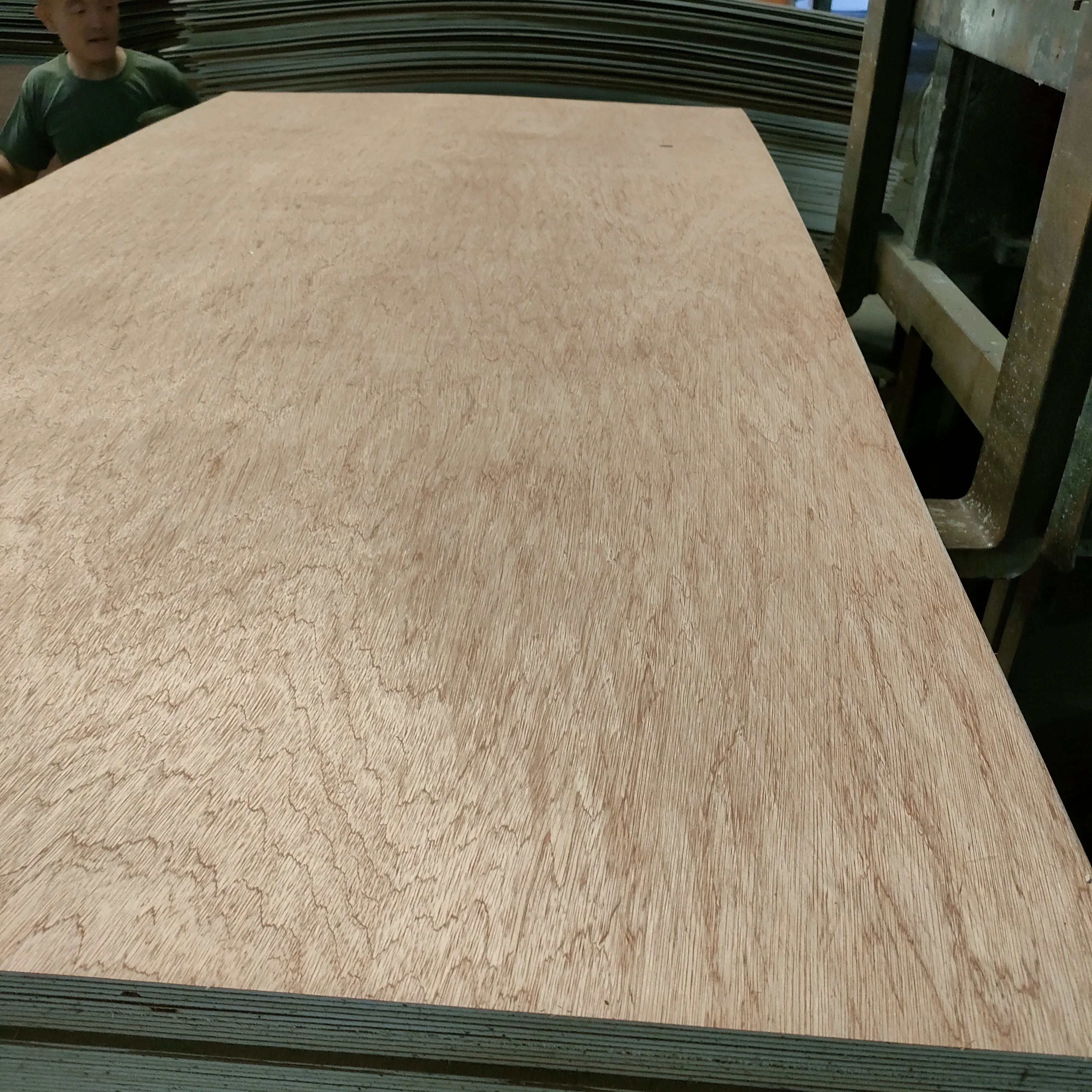 Linyi high quality 3-30mm E0/Phenolic glue full birch plywood manufacturer