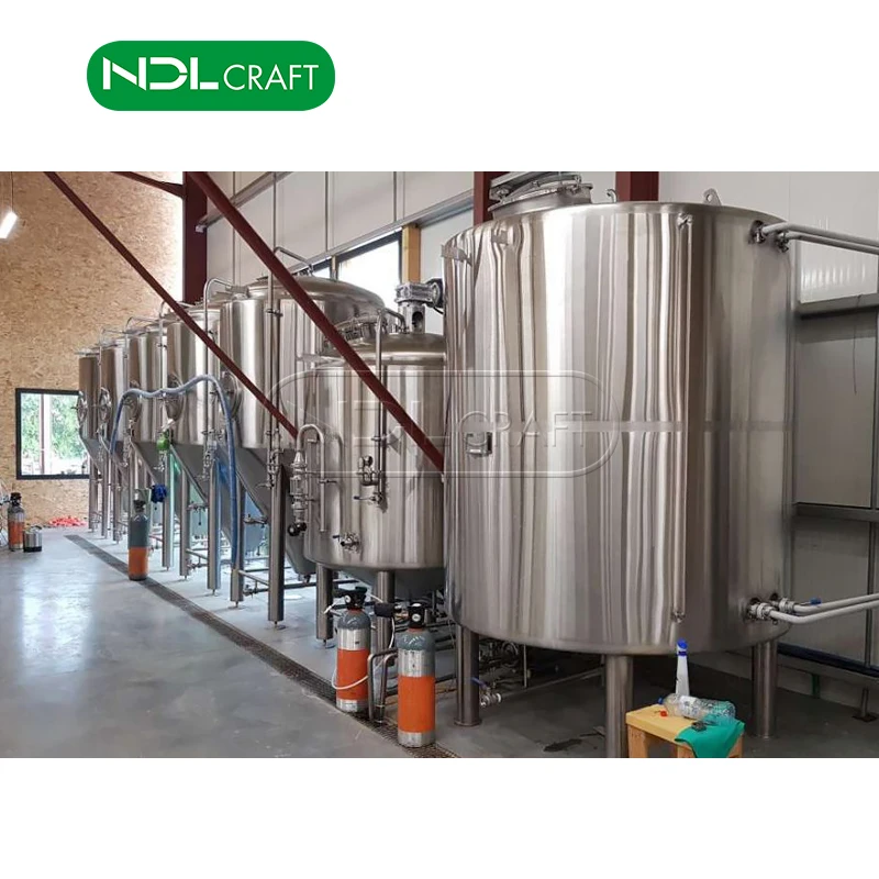 Brewery Plant Craft 500L Equipment Micro Beer Brewing