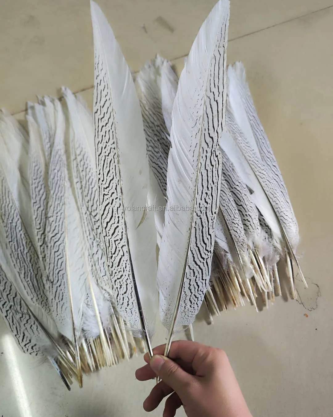 Best-selling Hot Worth Buying Natural Dyed Silver Cocktail Feathers 40-45cm for Holiday Birthday Party Costume Accessories
