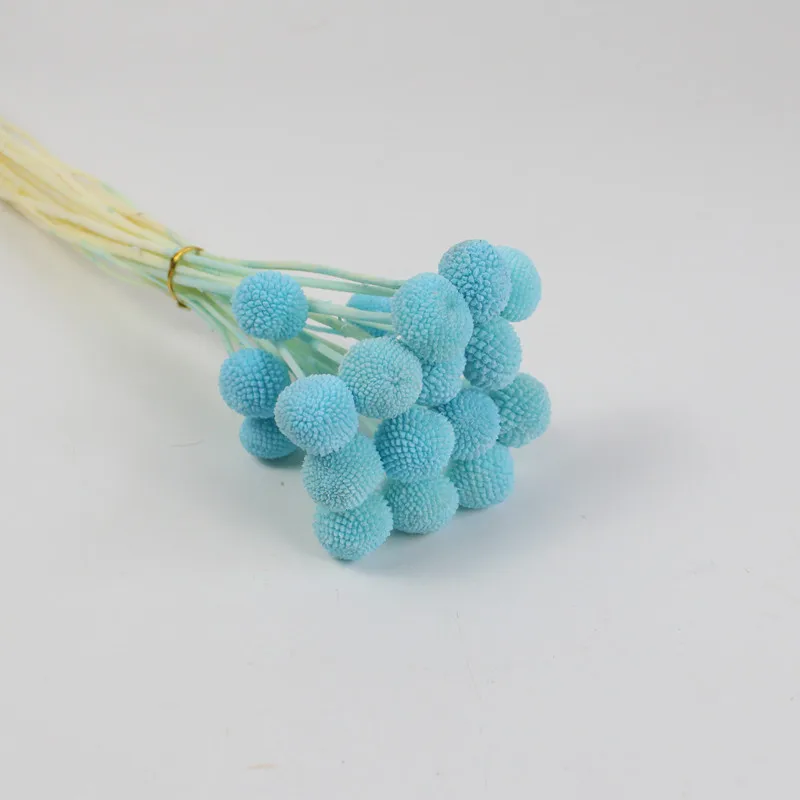 Customized preserved flower craspedia preserved billy buttons bleached for floral displays and wreaths