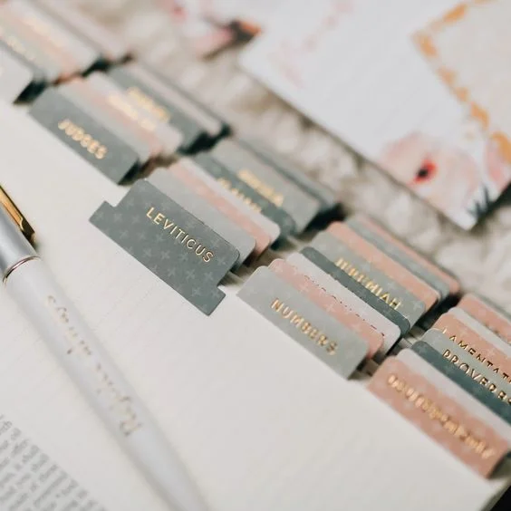 Custom Laminated Old and New Testament Bible Book Tabs Adhesive Bible Tabs for Women Bible Journaling