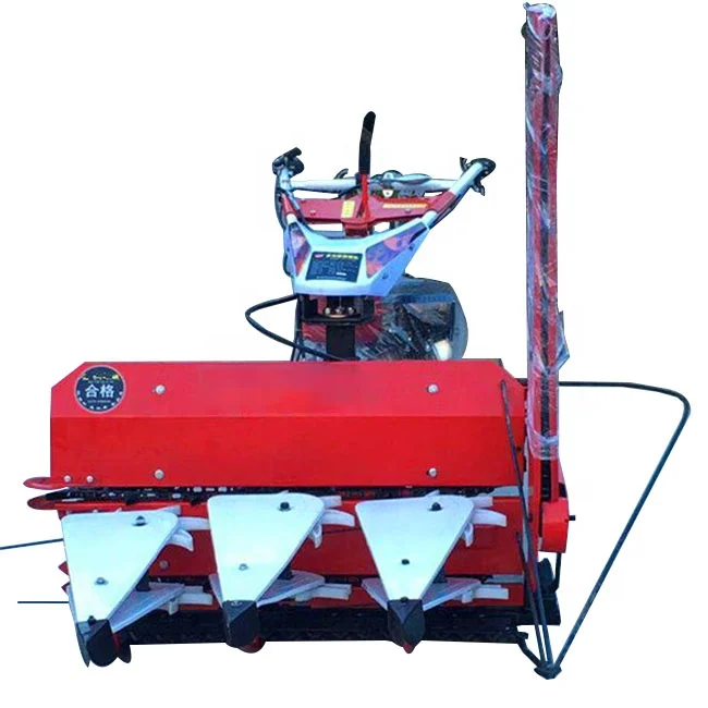 Large capacity wheat harvester
