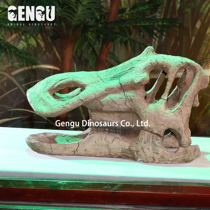 For Exhibit Dig Out Dinosaur Skull Dinosaur Bone Replica