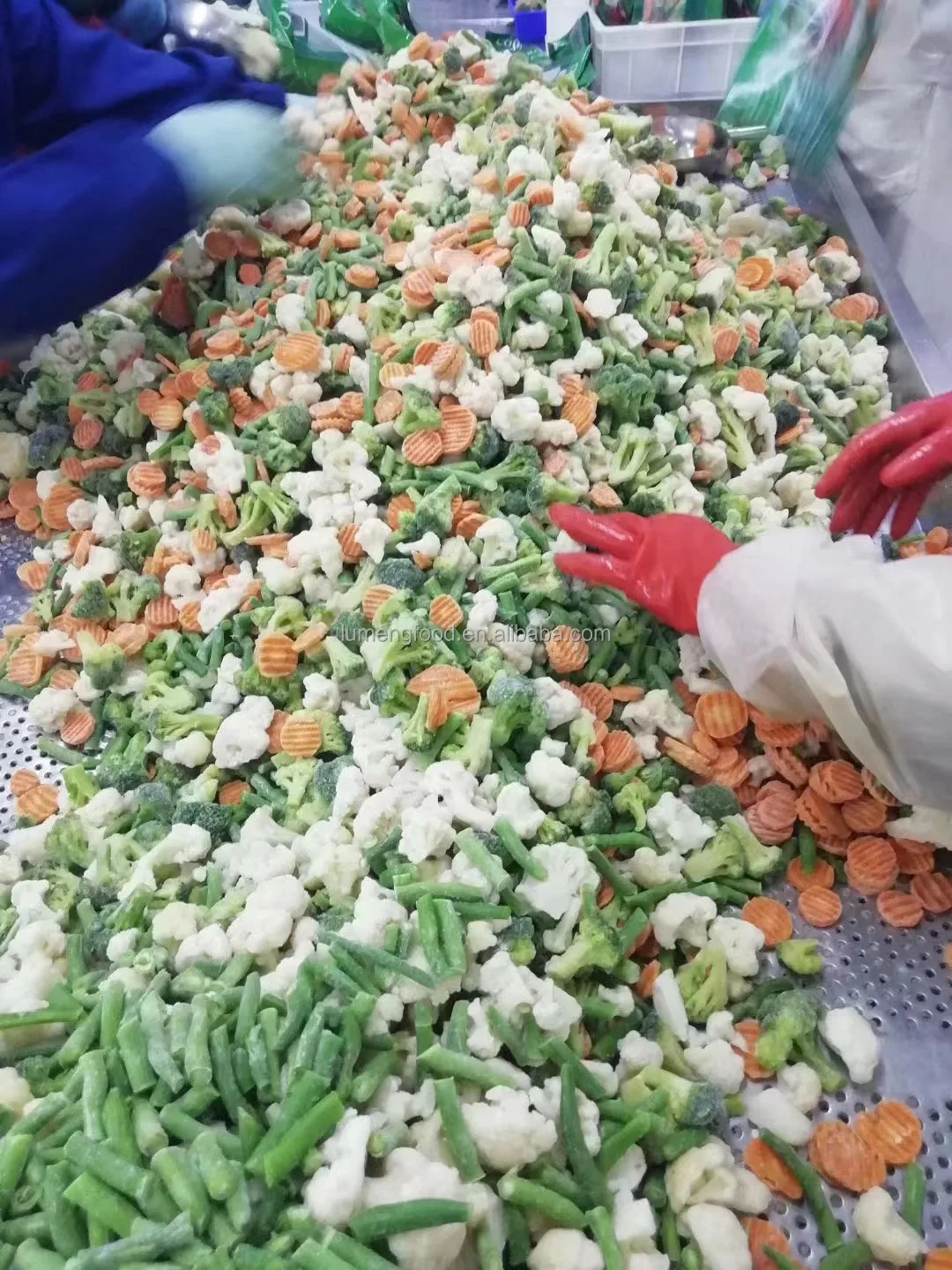 Factory Certified Quality Manufacture IQF Frozen Mixed Vegetables