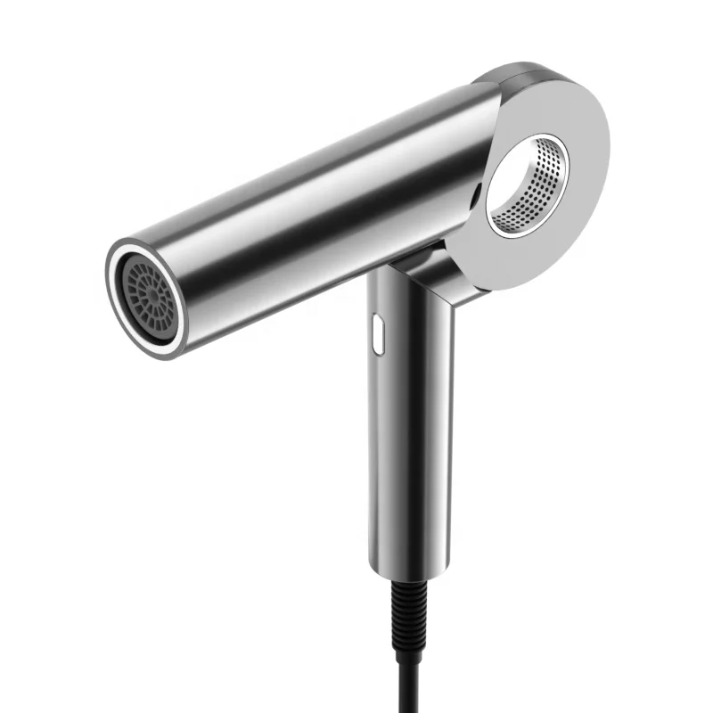 Wall Mounted Hand Salon and Hotel Multifunctional Negative Ion Hair Dryer Portable