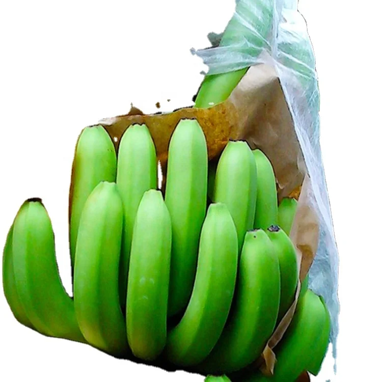 pp non woven fabric plant cover Banana bag 3-4% uv resistant waterproof breathable date palm bag