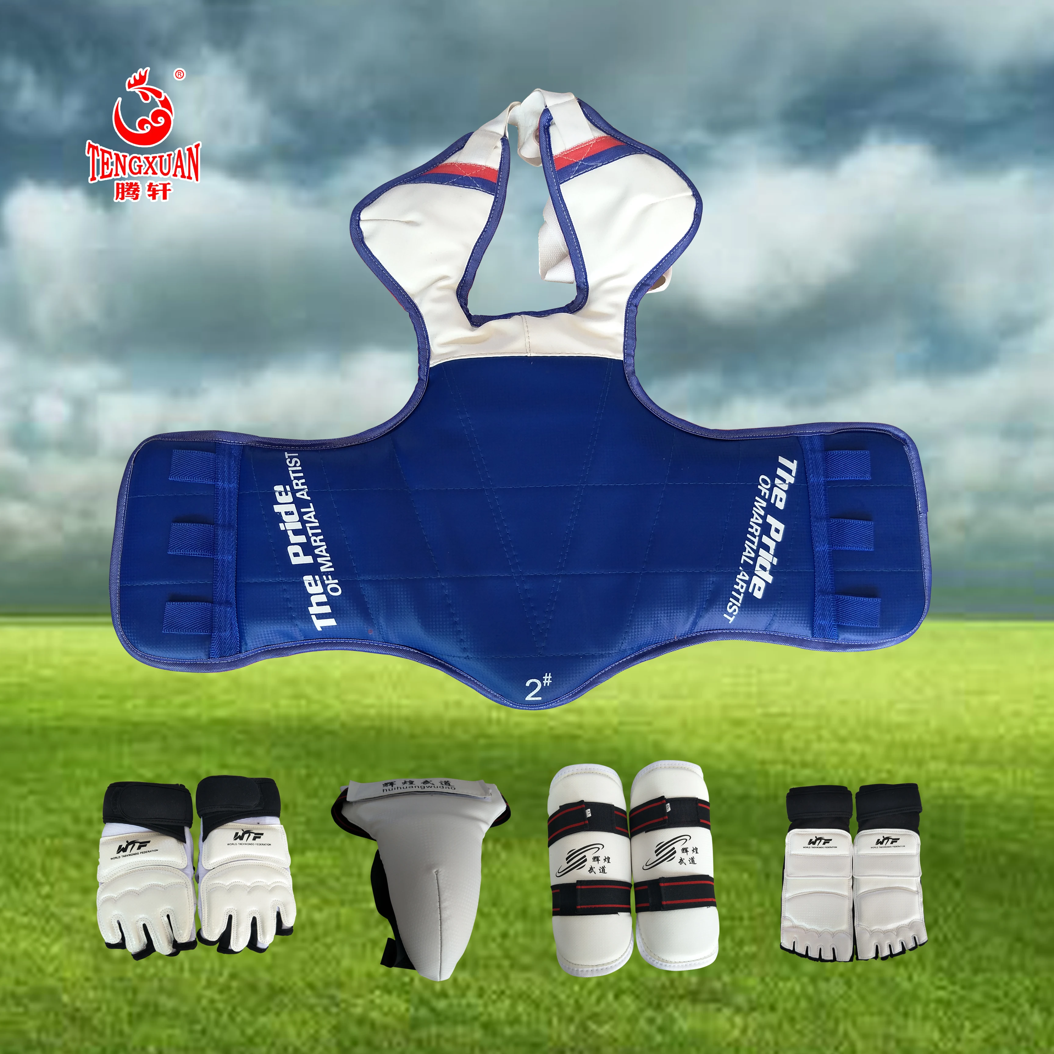 Customized Logo Sports Taekwondo Protective Gear Protectors Martial Arts Equipments