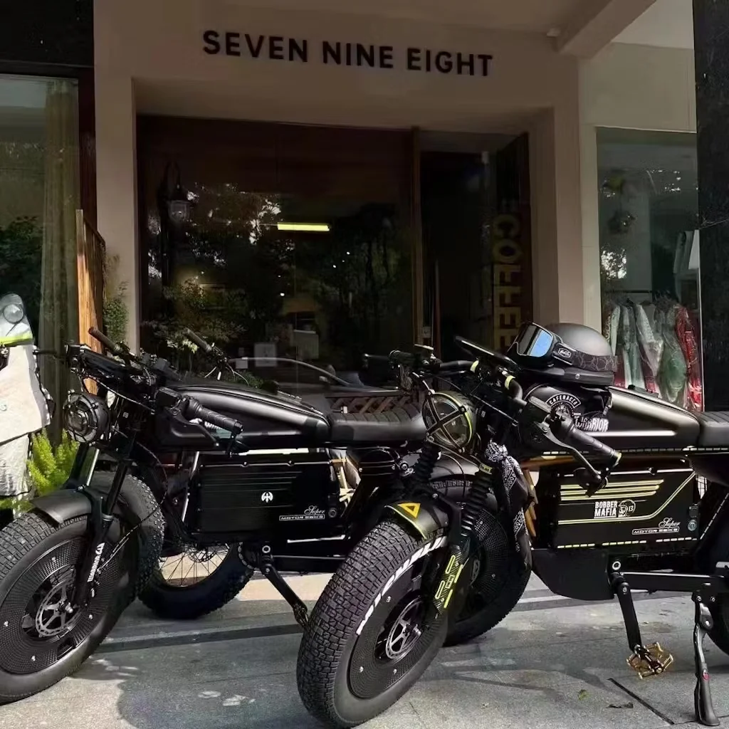 SD-N Electric Mountain Bicycle 65km/h electric Scooter electric Fat tire bike for adult