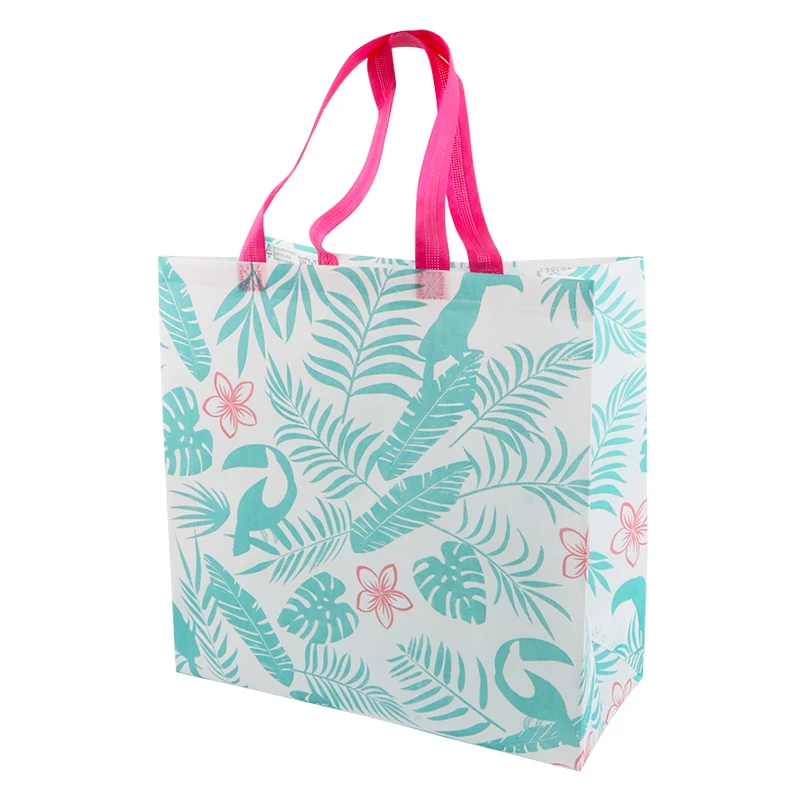  shopping bag pla biodegradable producing