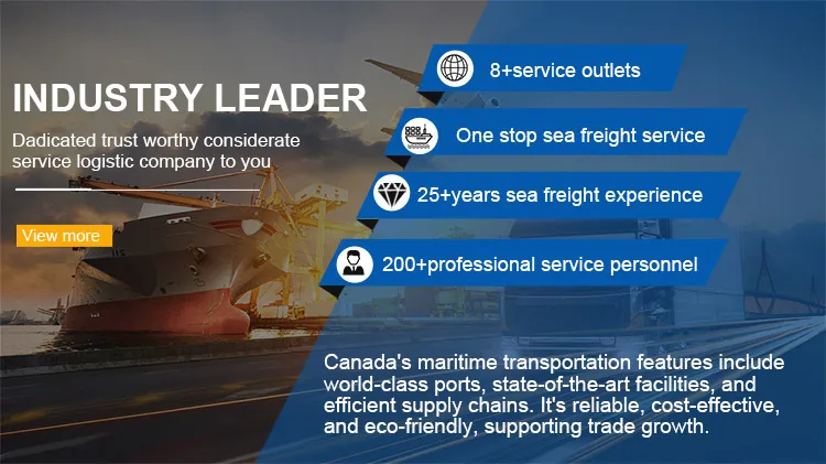 DDP dangerous products sea shipping battery fast logistics Service cargoes UK shipping agent cheapest Freight Forwarder