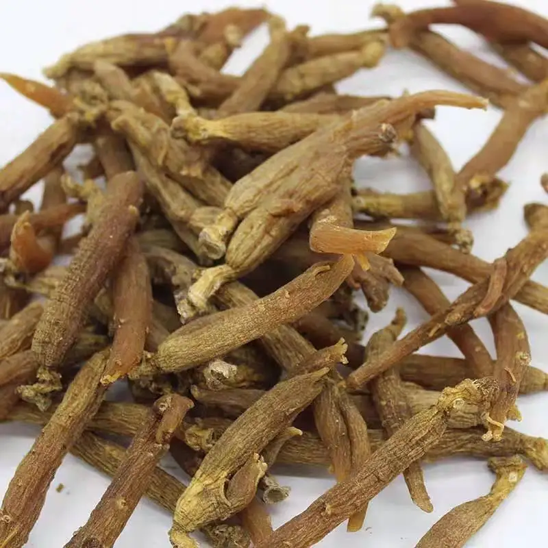 Free Samples Are Nutritious Halal  6 Korean Red Ginseng Ginseng extract