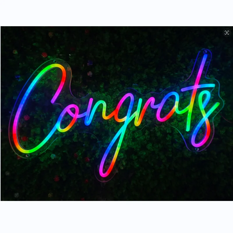 Neon Sign RGBIC Neon letter sign change color form Factor with control remote LED Neon Signs Beer Bar Club