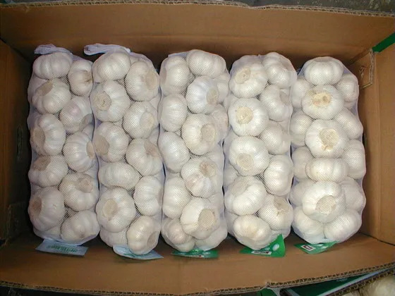 
China size 4.5-6.0cm natural garlic 