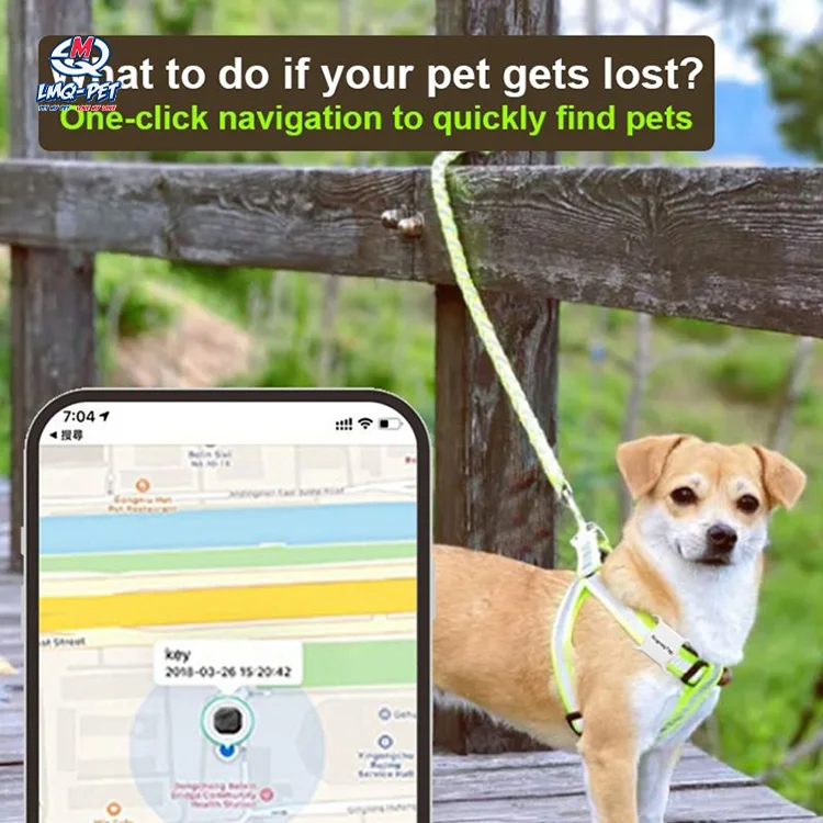 GPS-трекер для домашних животных