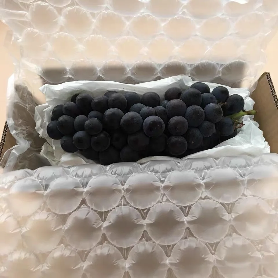 SHENHONGJI Wholesale Protective Bubble Cushion Wrap Small Bubbles Cover Packaging 20 Thickness Air Bubble Film Roll