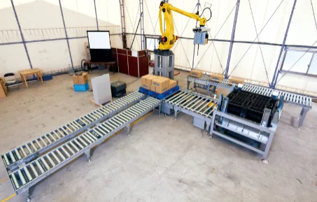 High Performance Factories Industrial Handling Conveyor Price Automatic Robot Palletizer