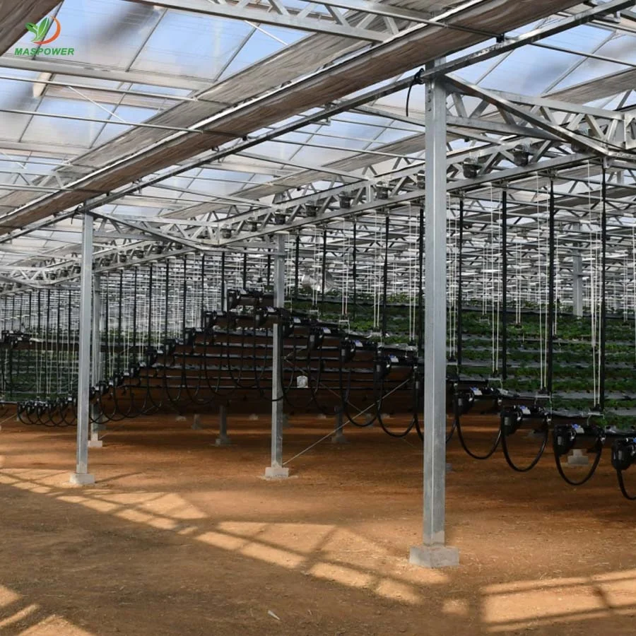 8 12 15 10mm polycarbonate greenhouse multi-span for sale ,tomato ,canabs, blueberry growing