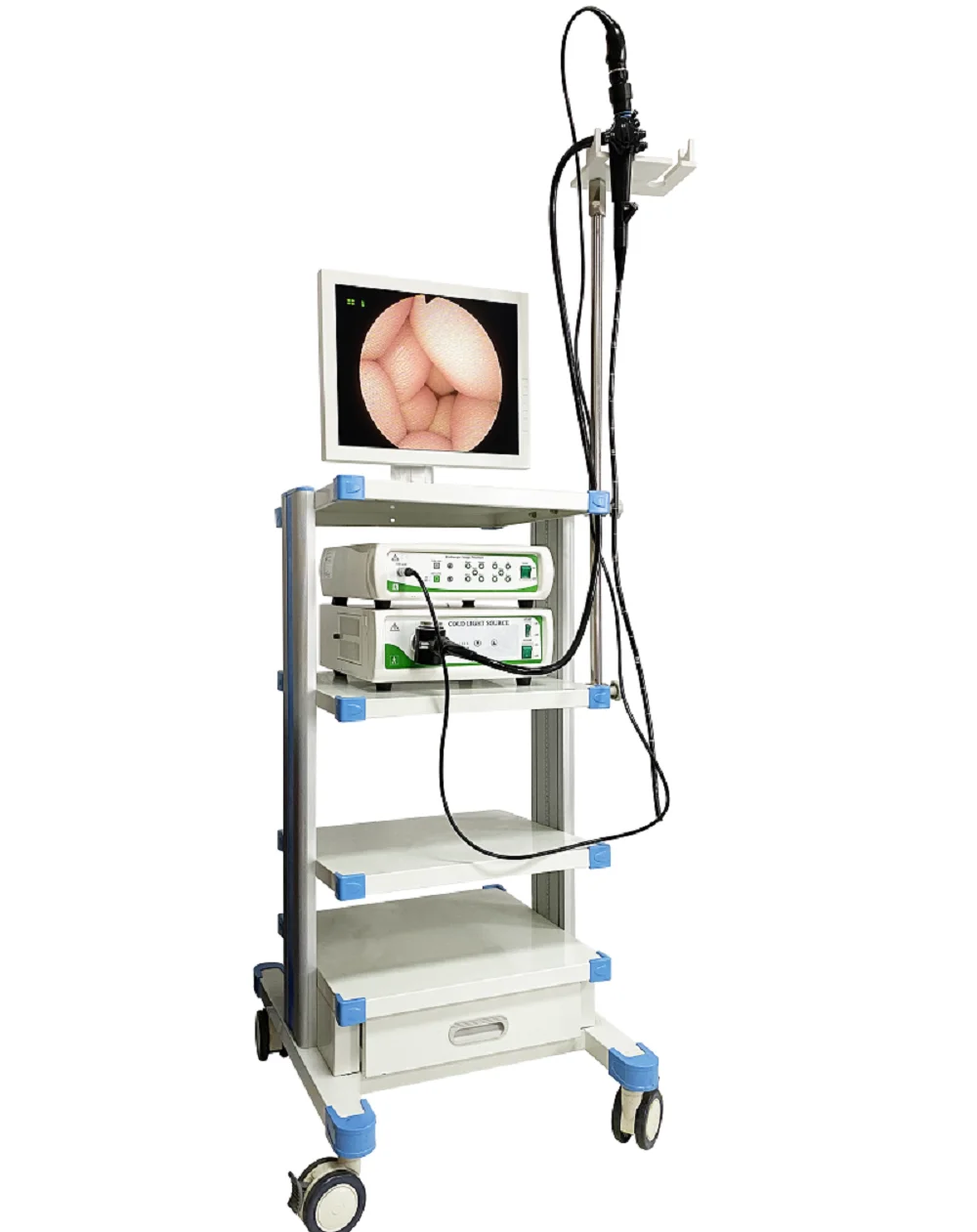 ALG  High quality Ent scope medical video endoscope flexible fiber nasopharyngoscope