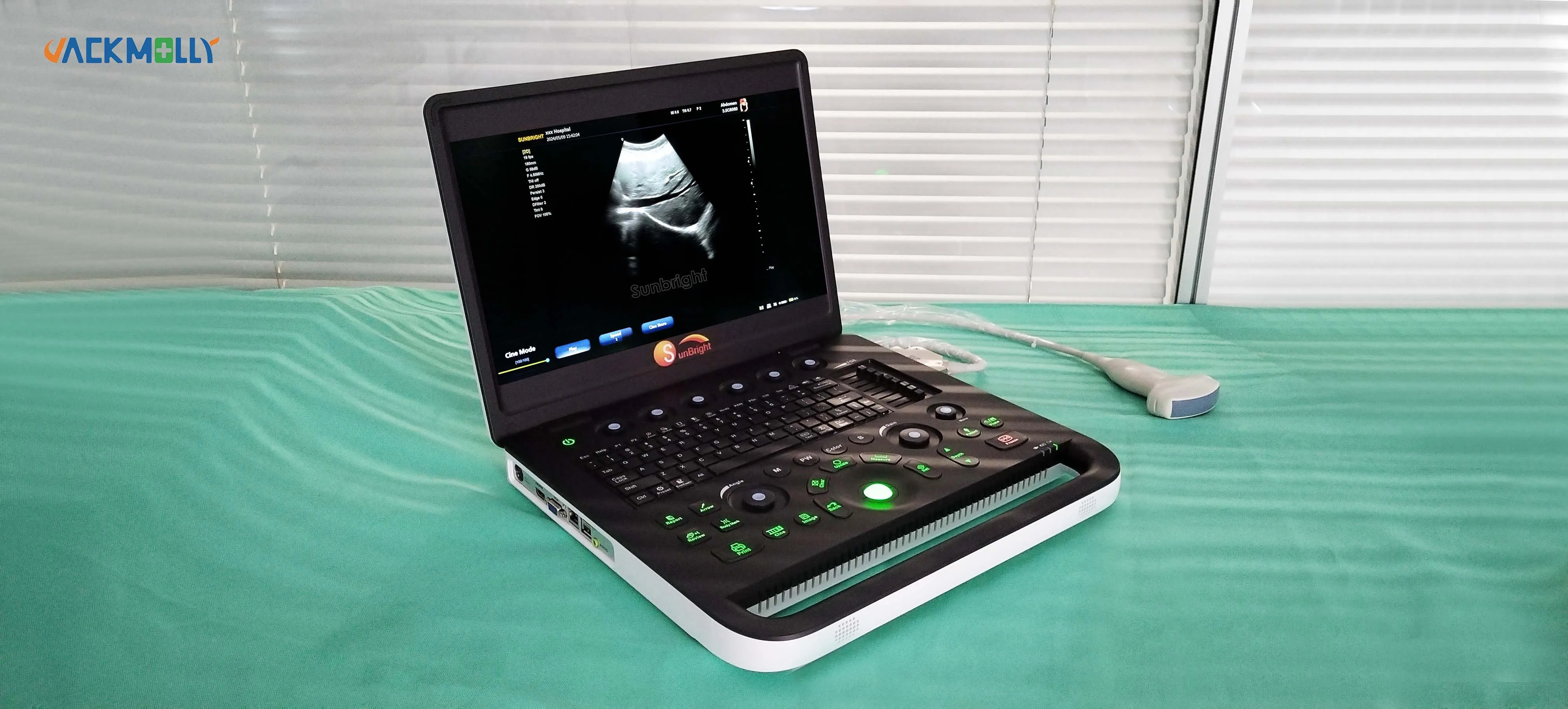 JM-800C Portable scan Cheap Rectal probe Vet Veterinary ultrasound for pig sheep cattle goat