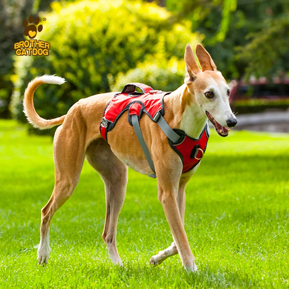 Fashion personalized design soft mesh padded luxury dog tactical adjustable reflective safety dog harness