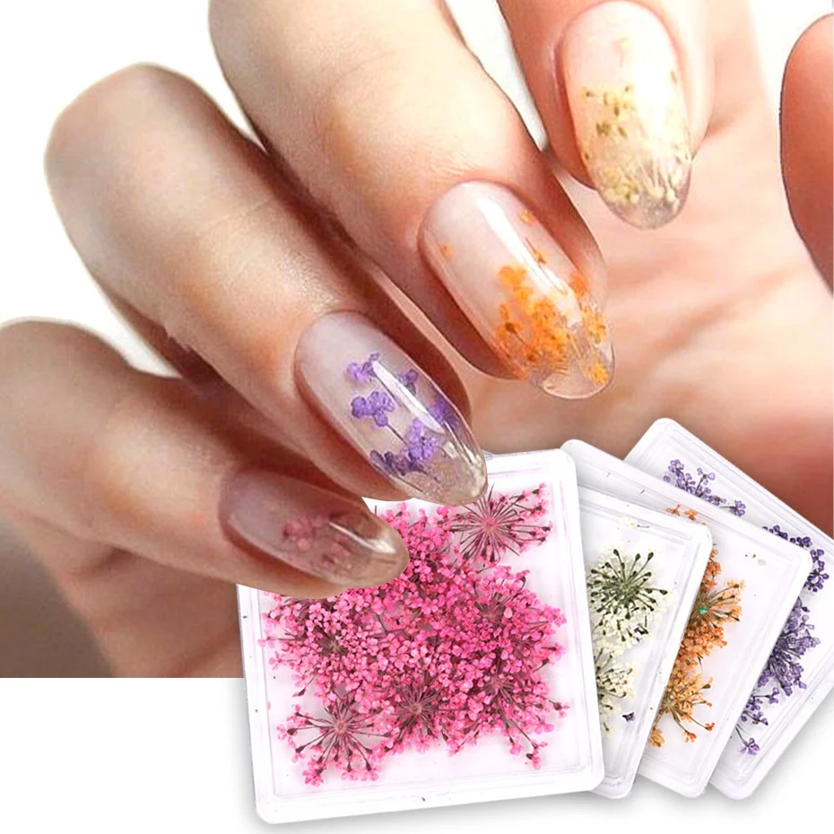 3D Real Dried Flowers Nail Art Decoration Lace Petal Design Natural Pressed Floral Charm Plant Jewelry Nail Decorations