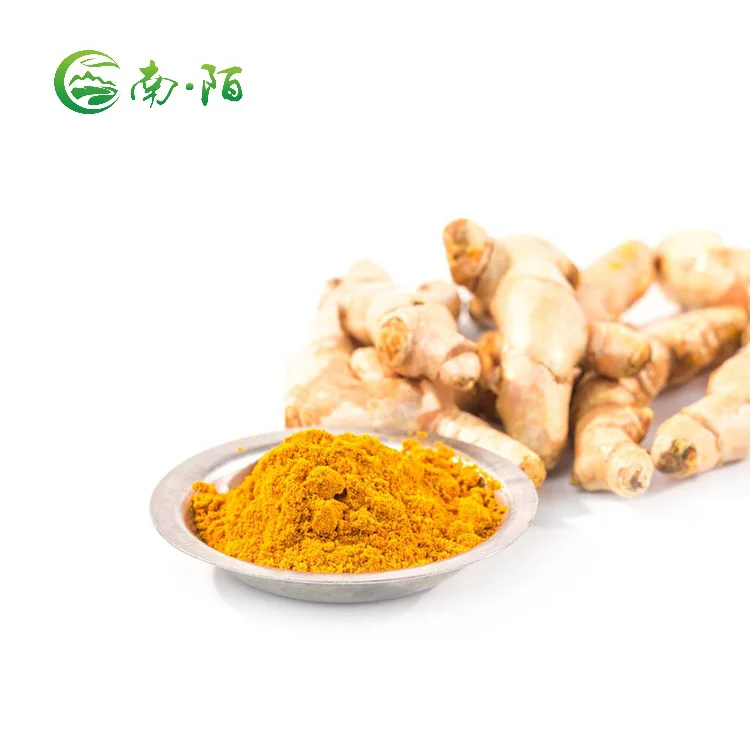 High Quality Organic Curcuma Extract Pure Natural Turmeric Powder