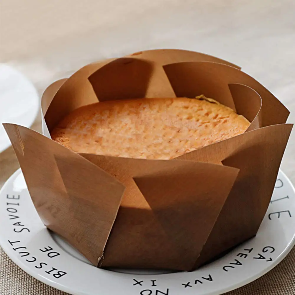 PFOA Free PTFE Non Stick Reusale Baking Pan Liner Sheet  LFGB Approved BBQ Baking Mat