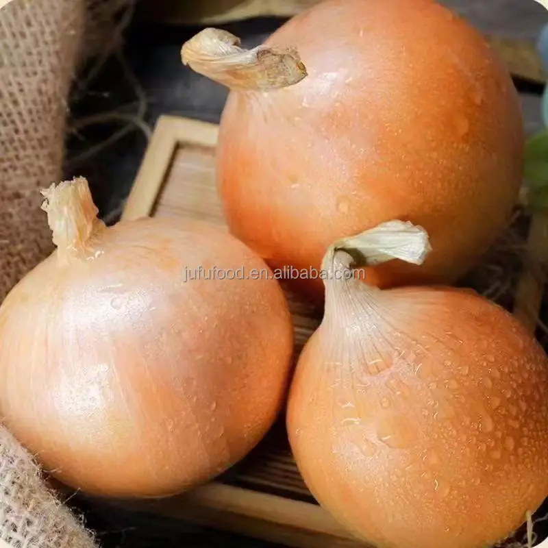 Onion From China Red Yellow Onion Seeds