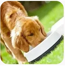 Hunan peto oem dog food natural freeze-dried chicken liver snacks freeze-dried meat dog food manufacturing wholesale price