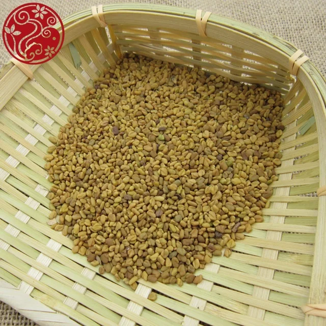 
Seed of Common Hu Lu Ba fenugreek 