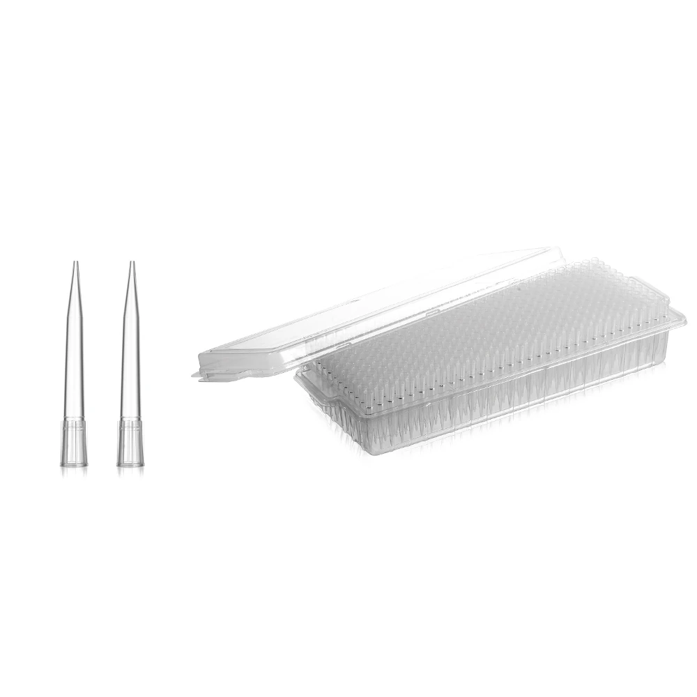 Disposable Lab Sterile Plastic Filter Tips Lab Pp Micro Pipette Tips For Disposable Pipettor