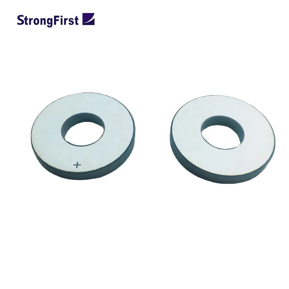StrongFirstUltrasonic Welding Piezo Ceramic Ring 10mm*5mm