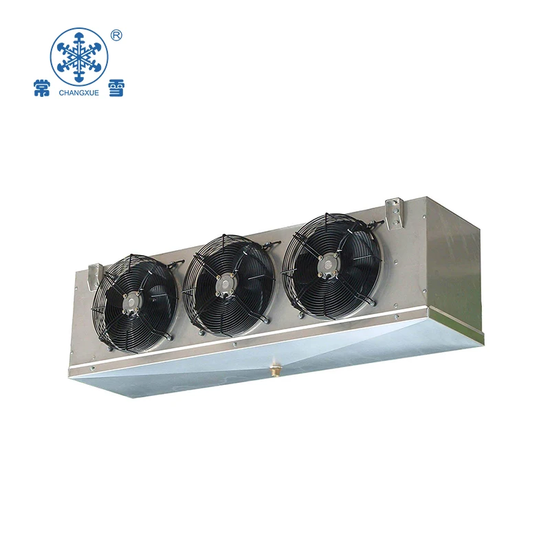 freezer chiller and ice cube and ice block storage cold room