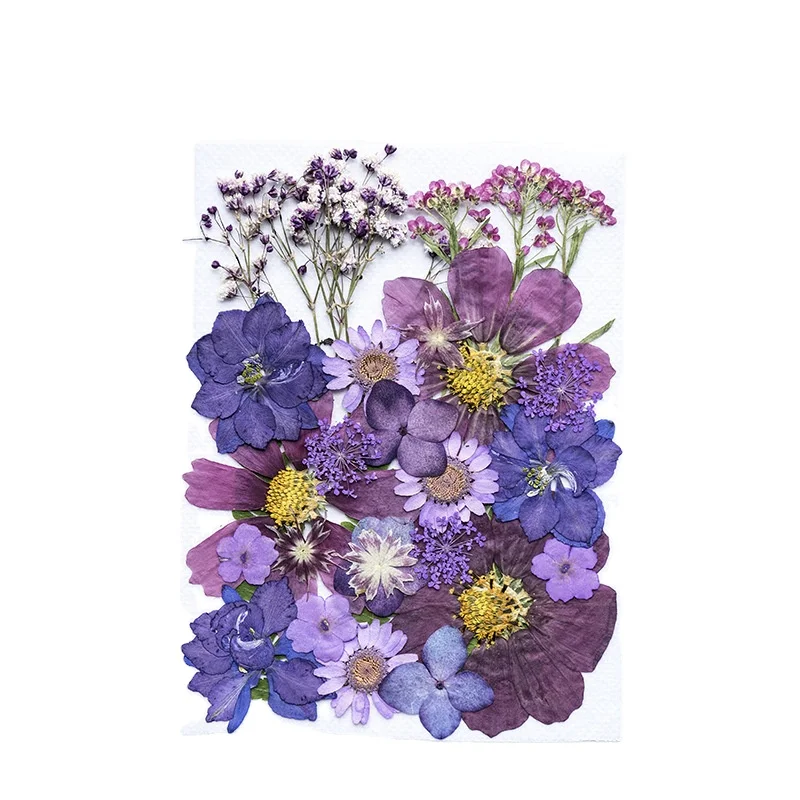 30 шт./упаковка, набор из прессованных цветов