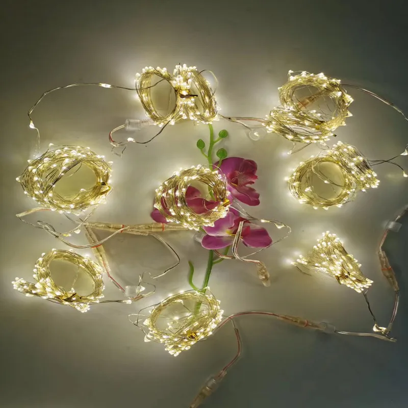 
2020 new hot 10M 100 LED Copper Wire Holiday Lighting for Wedding Party Decorations Garland Lighting 