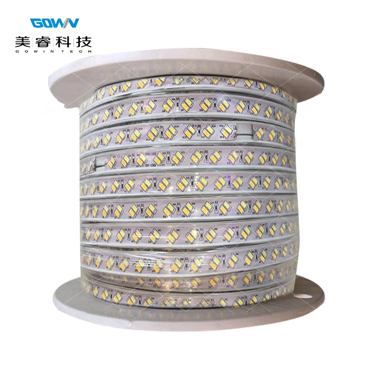 2020 Newly Developed AC110 220V smd 5730 led strip Dual Color Double White For Landscape