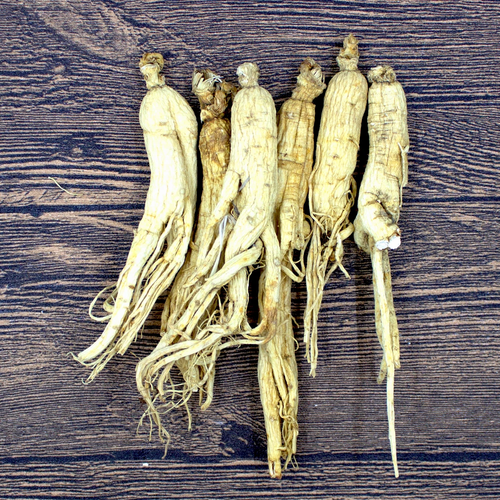 High-Quality Chinese Medicinal Herbs Changbai Organic Ginseng Panax Ginseng