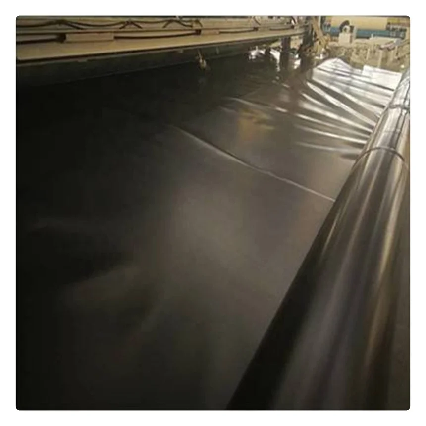 HDPE Geomembrane 100% Virgin Waterproof Geomembrane Pond Liner for Shrimp Pond