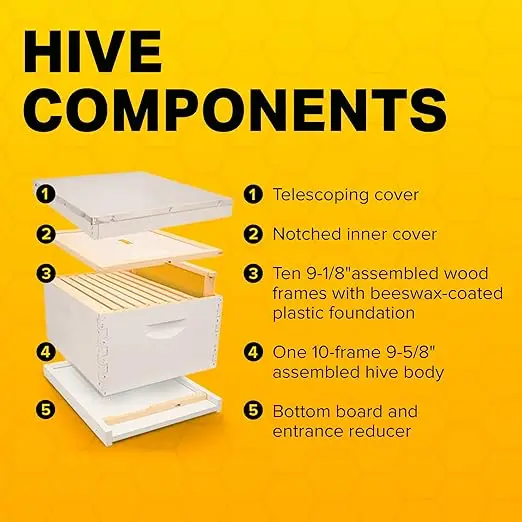 Durable Weather-Resistant Fully Assembled Beginner-Friendly Beekeeping Hive Starter Set Hive Body 10 Frames