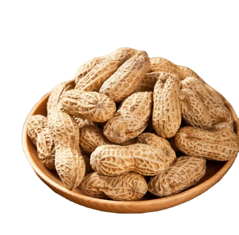 Hot Selling Raw Plastic Good Taste Natural Organic Blanched Peanuts 25/29