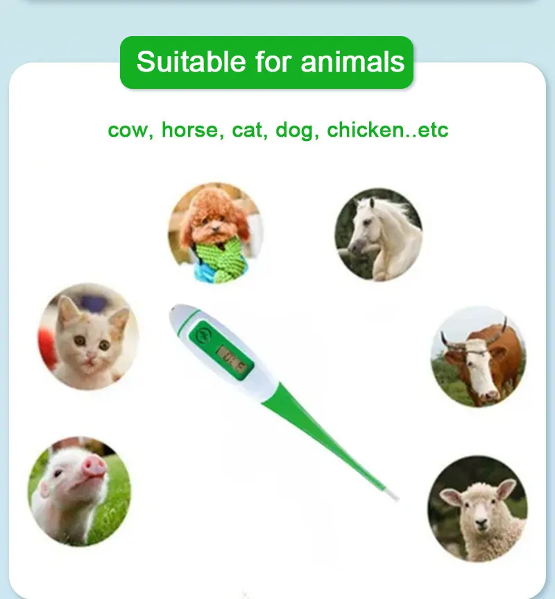 Poultry Digital Veterinary Clinical Thermometer Veterinary Pet Dog Cattle Animal Rectal Thermometers Other Veterinary Instrument