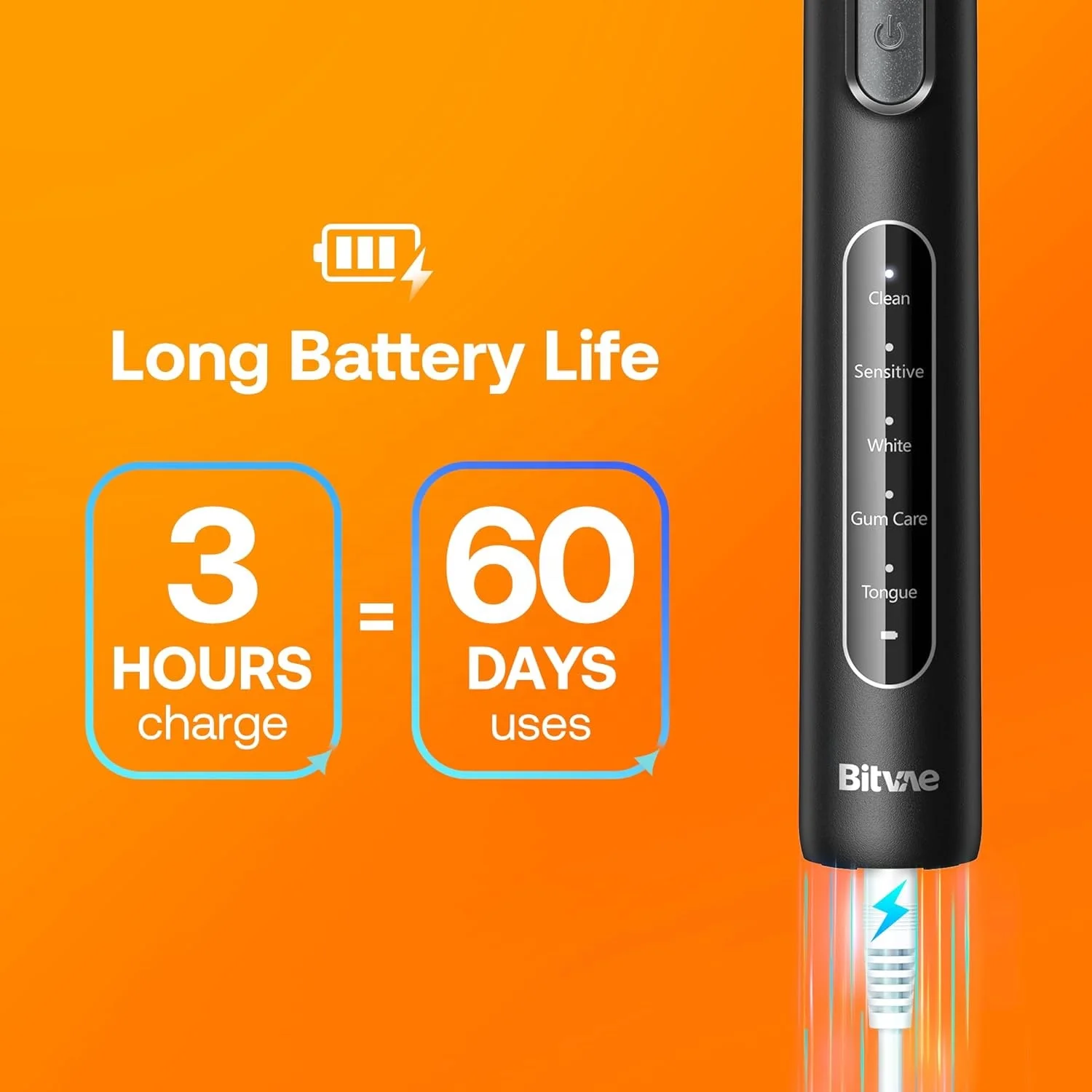 Bitvae BV R1 IPX7 Waterproof 2-Minute Smart Timer Rotating Electric Toothbrush with 8 Brush Heads