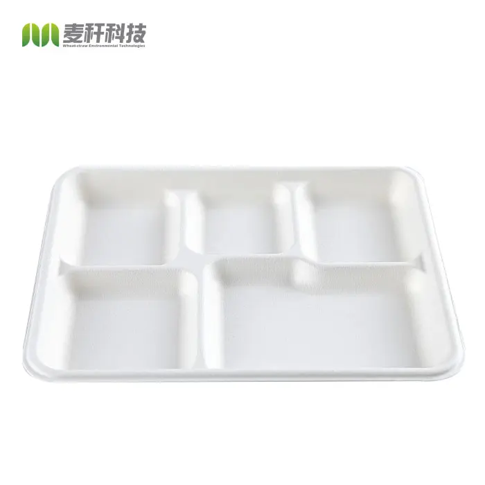 100% Natural 5 Compartment Disposable Sugar Cane Fiber Plates Eco-friendly Square Sugarcane Bagasse Tableware Food Tray