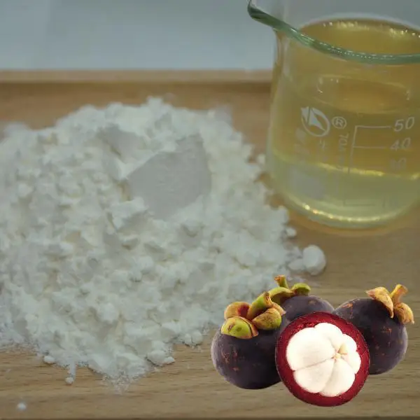Factory Outlets Mangosteen Fruit Extract  Garcinia Mangosteen Powder Wholesales Mangosteen Fruit Juice Powder
