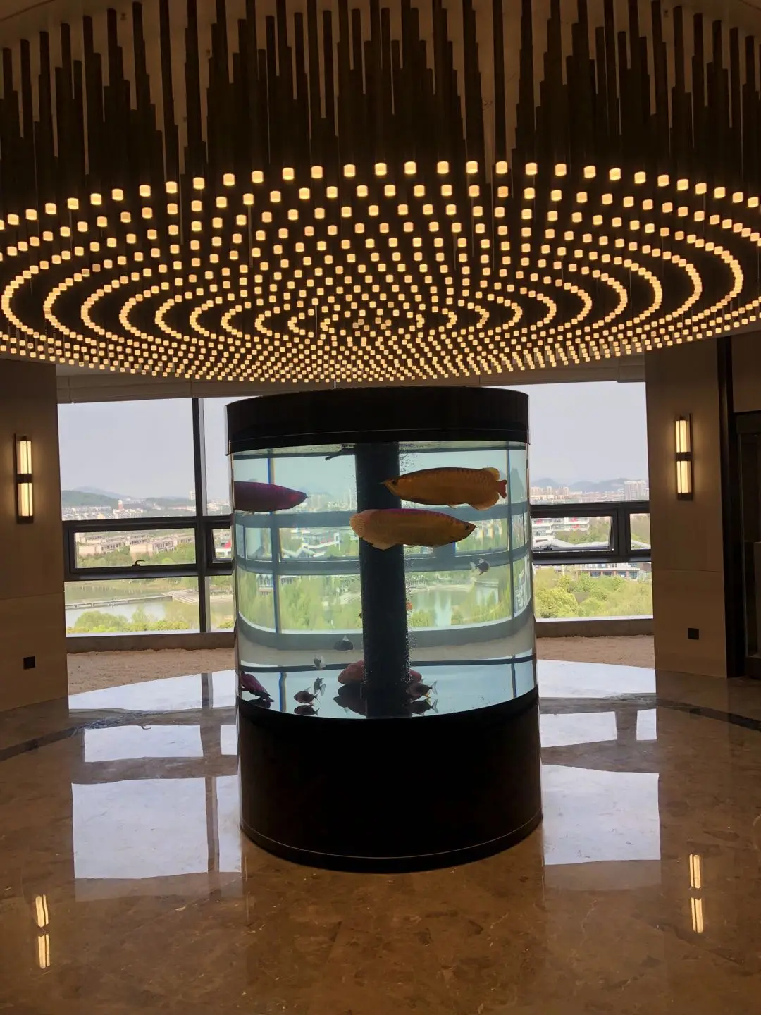 1.5m aquarium (1).jpg