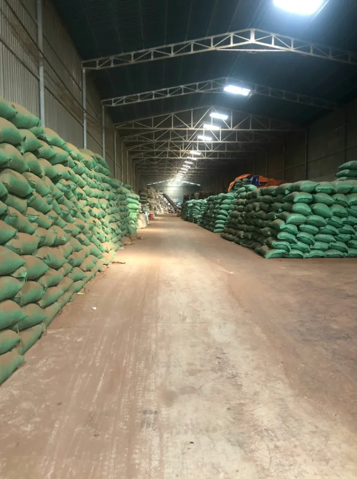 Самая дешевая сырая шелуха кешью (большой размер) из Вьетнама-Сельскохозяйственные отходы для корма животных с большим количеством клетчатки