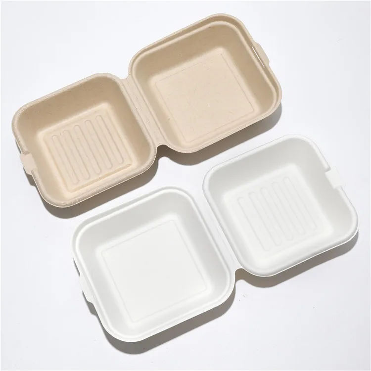 Biodegradable Disposable Ecofriendly Bamboo Pulp Sugarcane Bagasse Lunch Box