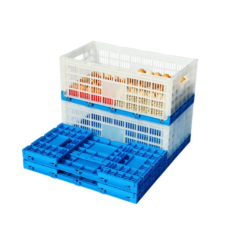 
Egg Crate 240pcs Storage Capacity Foldable Plastic Foldable & Stackable Screen Printing & Hot Stamping 630*330*58mm 1.8KGS 30KGS 