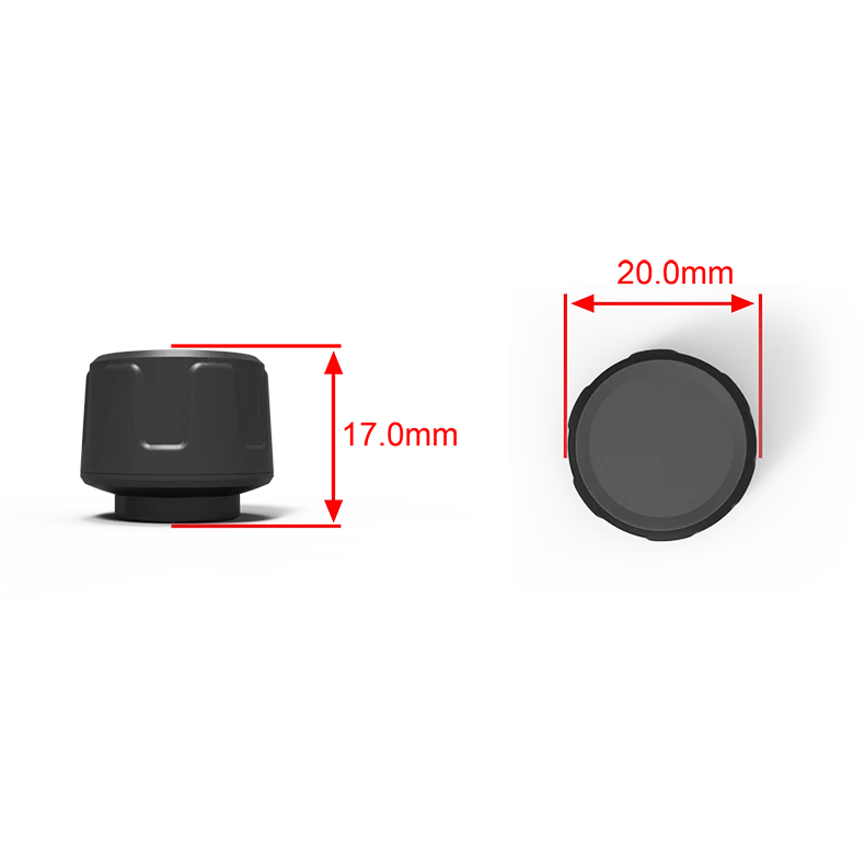 Motorized Bicycle Two Wheels BLE 5.0 Tire Pressure Monitoring System with Mobile App for Motorbike OEM and ODM